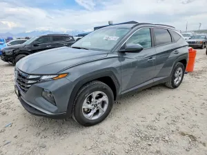 Hyundai Tucson 2.5L 4 2024