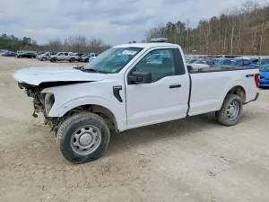 Ford F-150 3.3L 6 2021