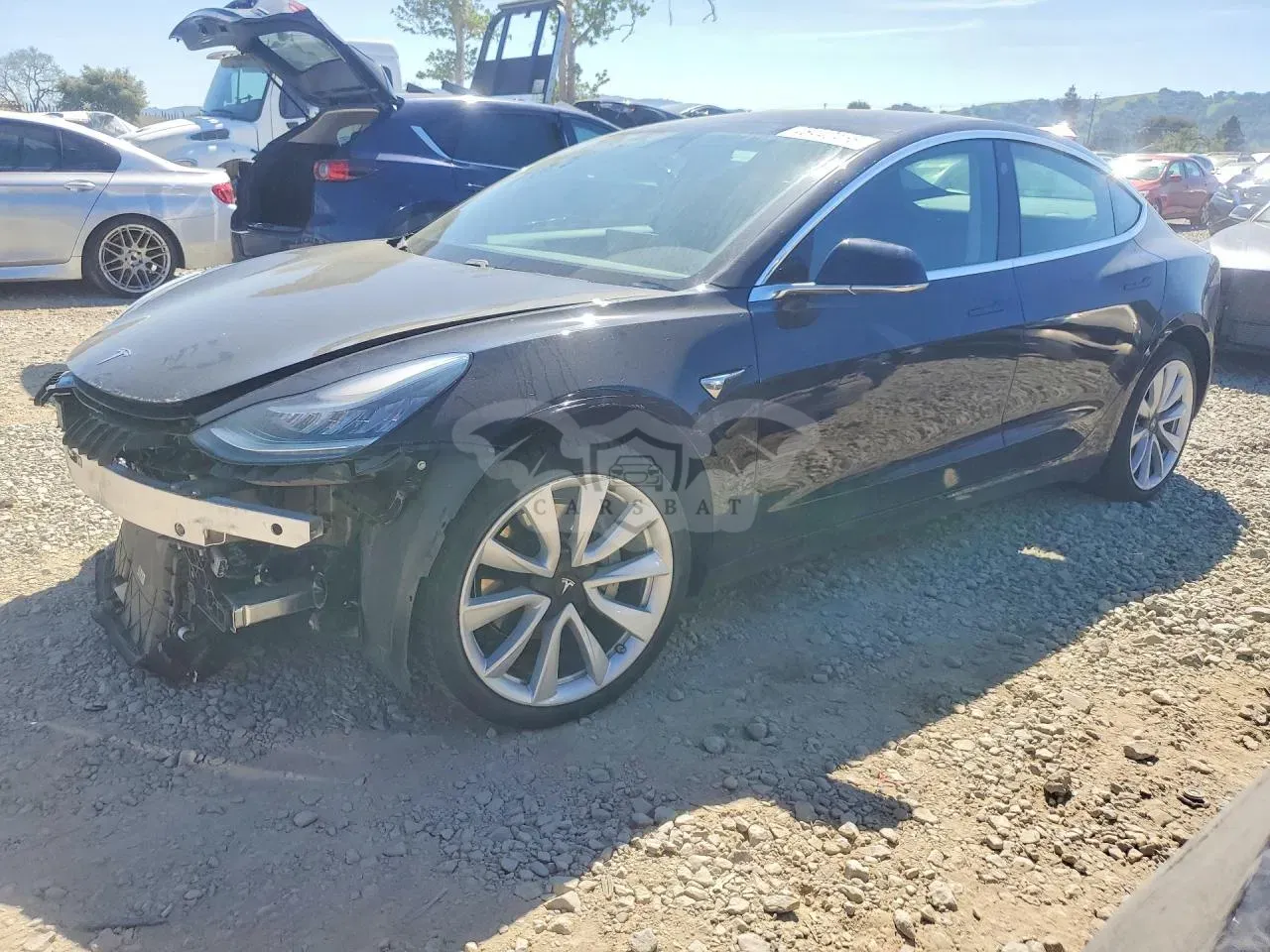 Tesla Model 3 2019