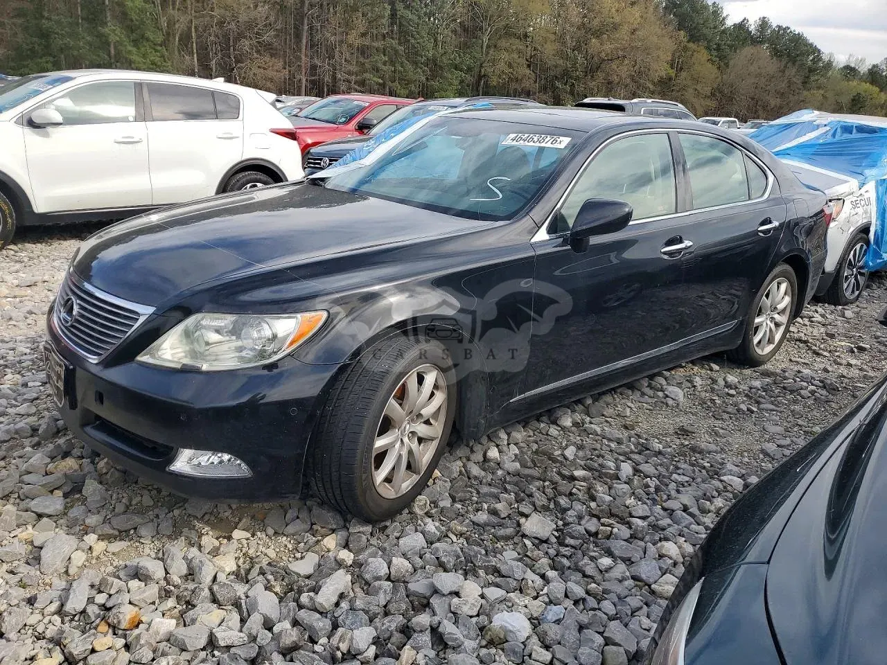 Lexus LS 4.6L 8 2009