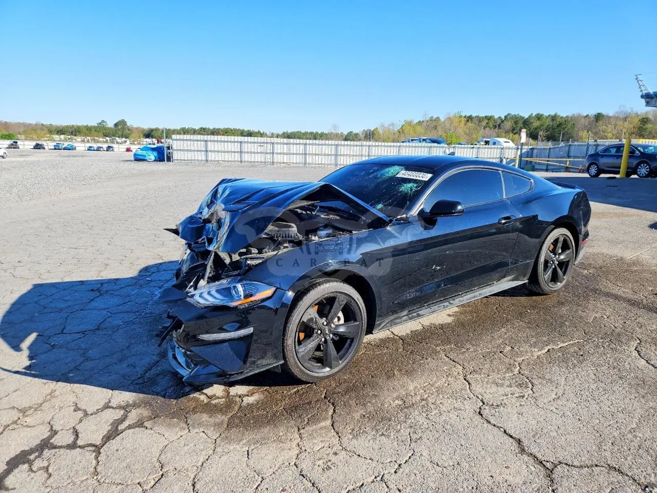 Ford Mustang 2.3L 4 2022