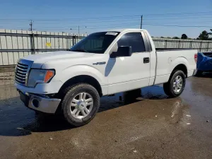 Ford F-150 4.6L 8 2009