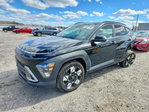 Hyundai Kona 2.0L 4 2024