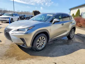 Lexus NX 2.0L 4 2020