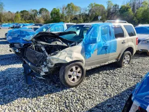Ford Escape 2.5L 4 2009