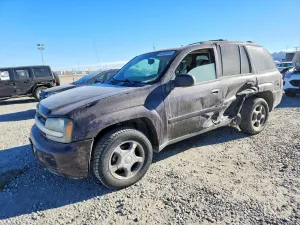 Chevrolet Trailblazer 4.2L 6 2008