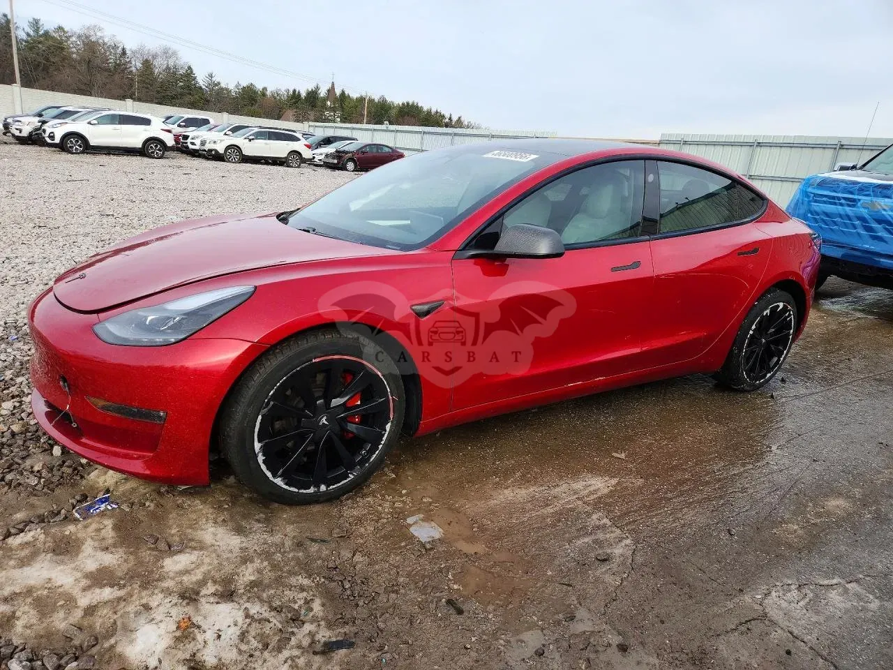 Tesla Model 3 2021