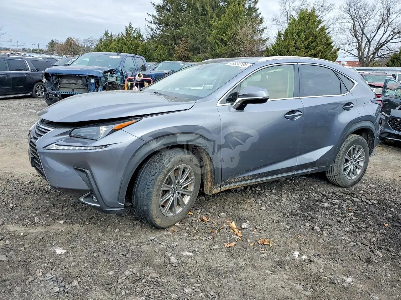 Lexus NX 2.0L 4 2021