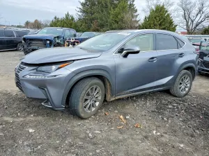 Lexus NX 2.0L 4 2021