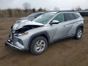 Hyundai Tucson 2.5L 4 2024