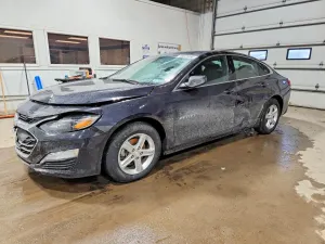 Chevrolet Malibu 1.5L 4 2023