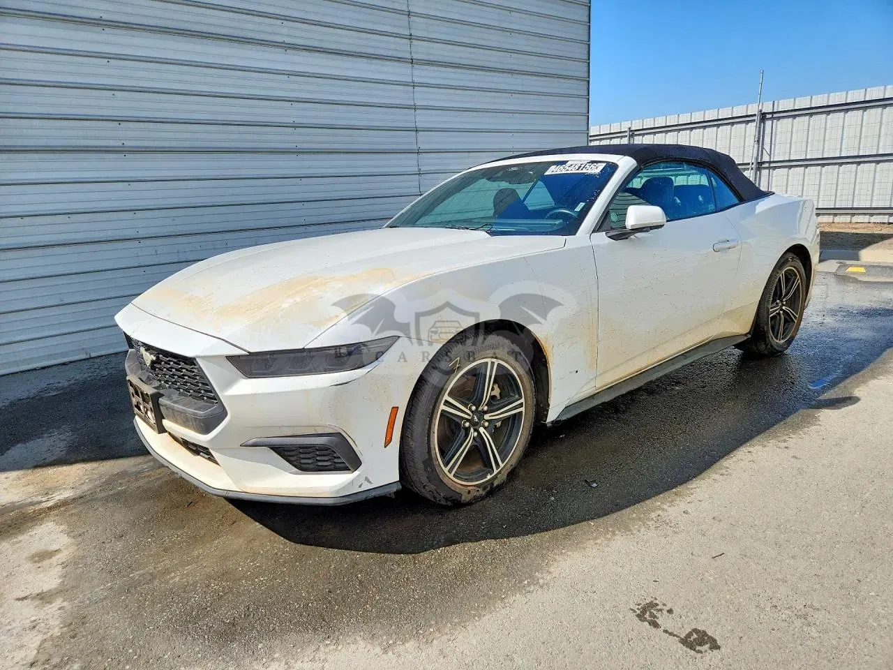 Ford Mustang 2.3L 4 2025