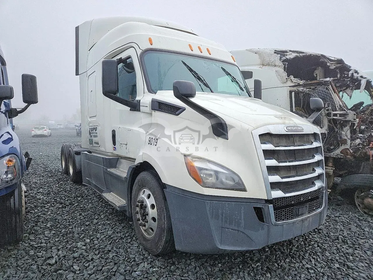 Freightliner Cascadia 12.8L 6 2020