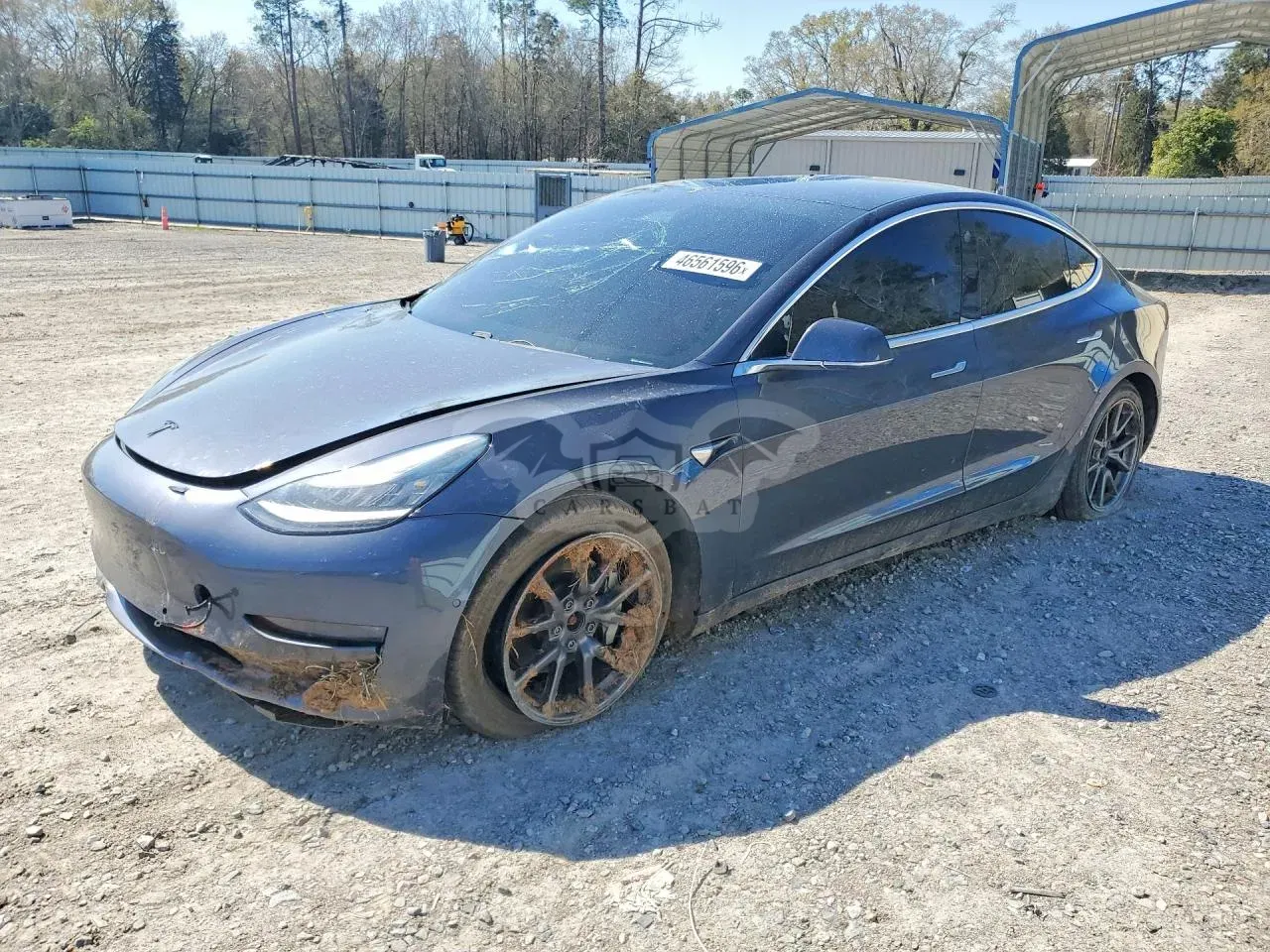 Tesla Model 3 2019