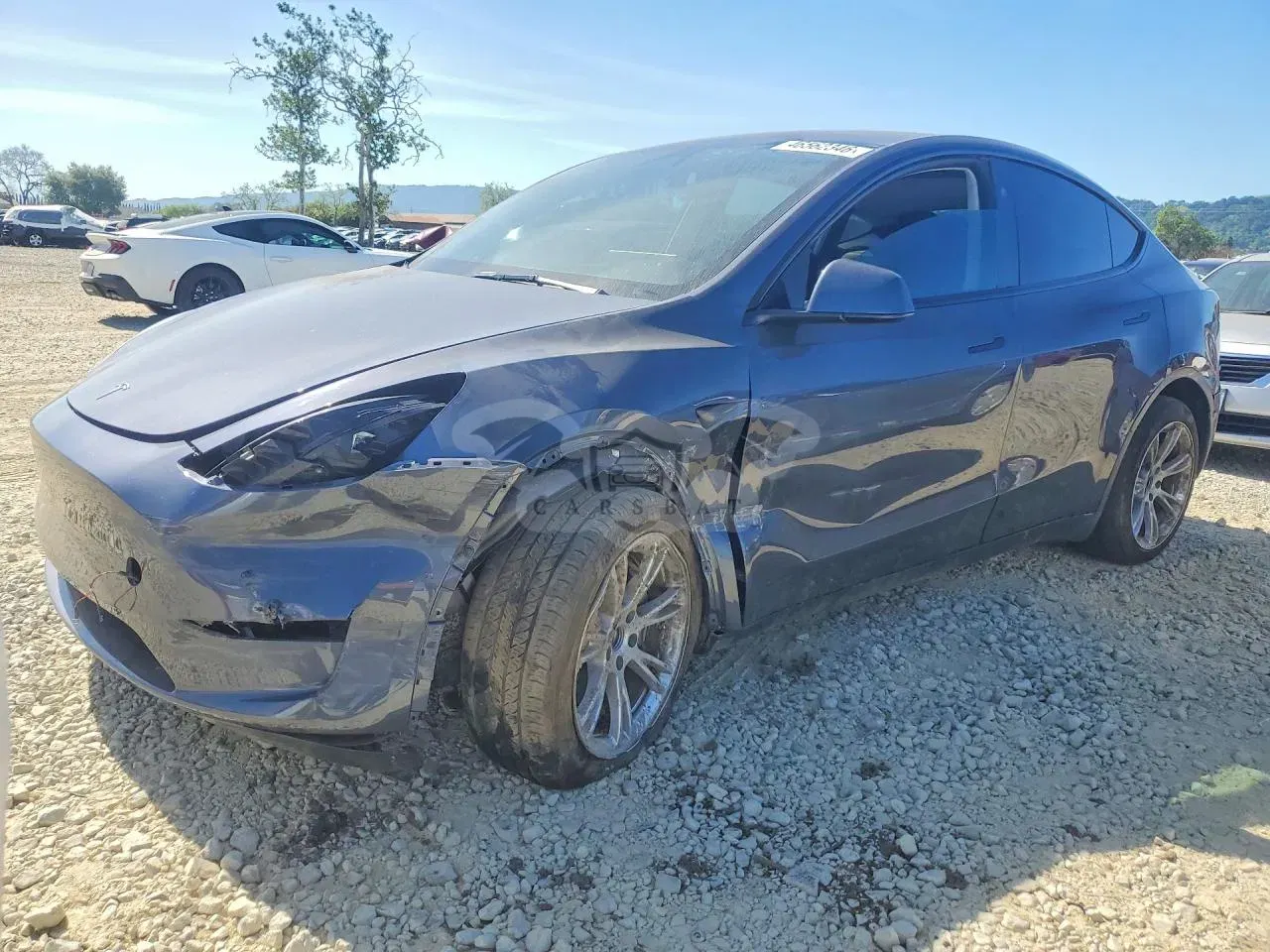 Tesla Model Y 2023