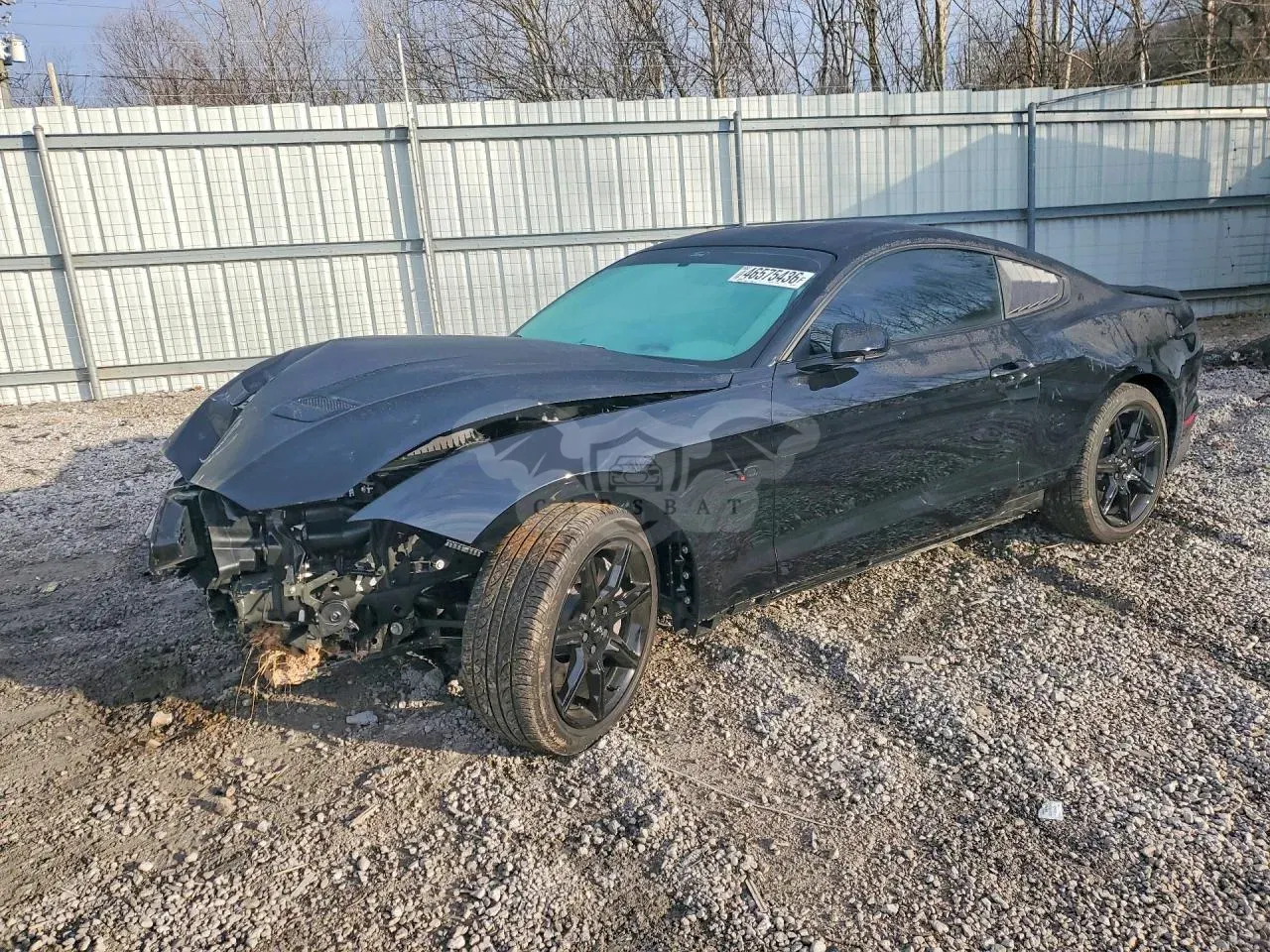 Ford Mustang 5.0L 8 2019