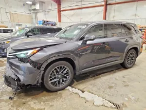 Lexus TX Series 2.4L 4 2024
