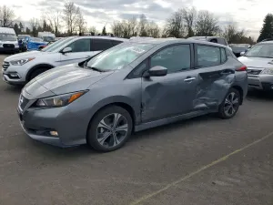 Nissan Leaf 0.0L 0 2021