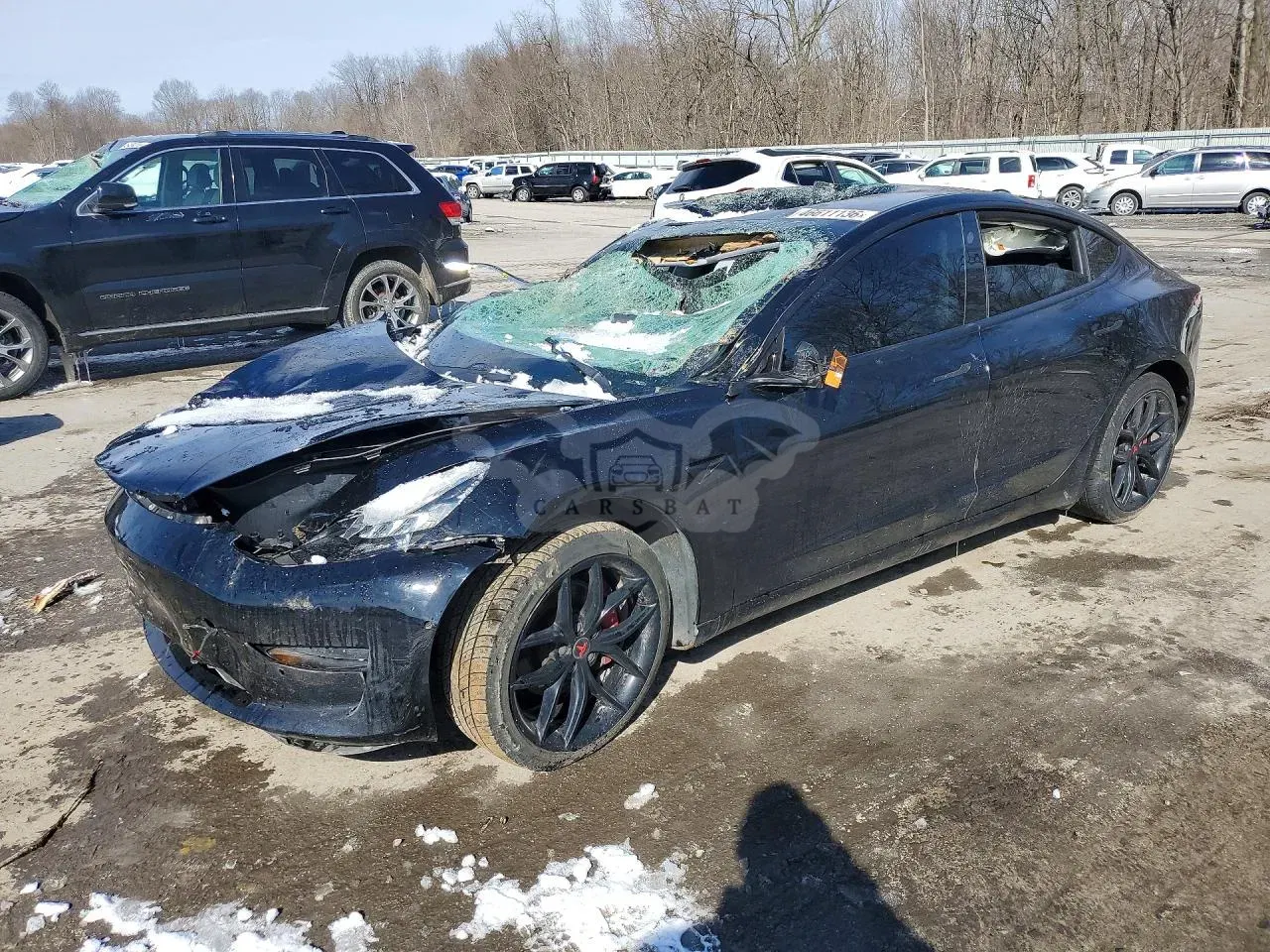 Tesla Model 3 2019