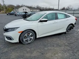 Honda Civic 2.0L 4 2019