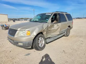 Ford Expedition 5.4L 8 2006