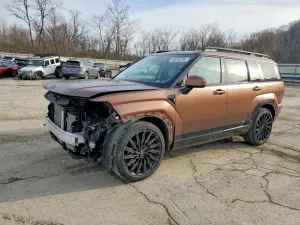 Hyundai Santa Fe 2.5L 4 2024