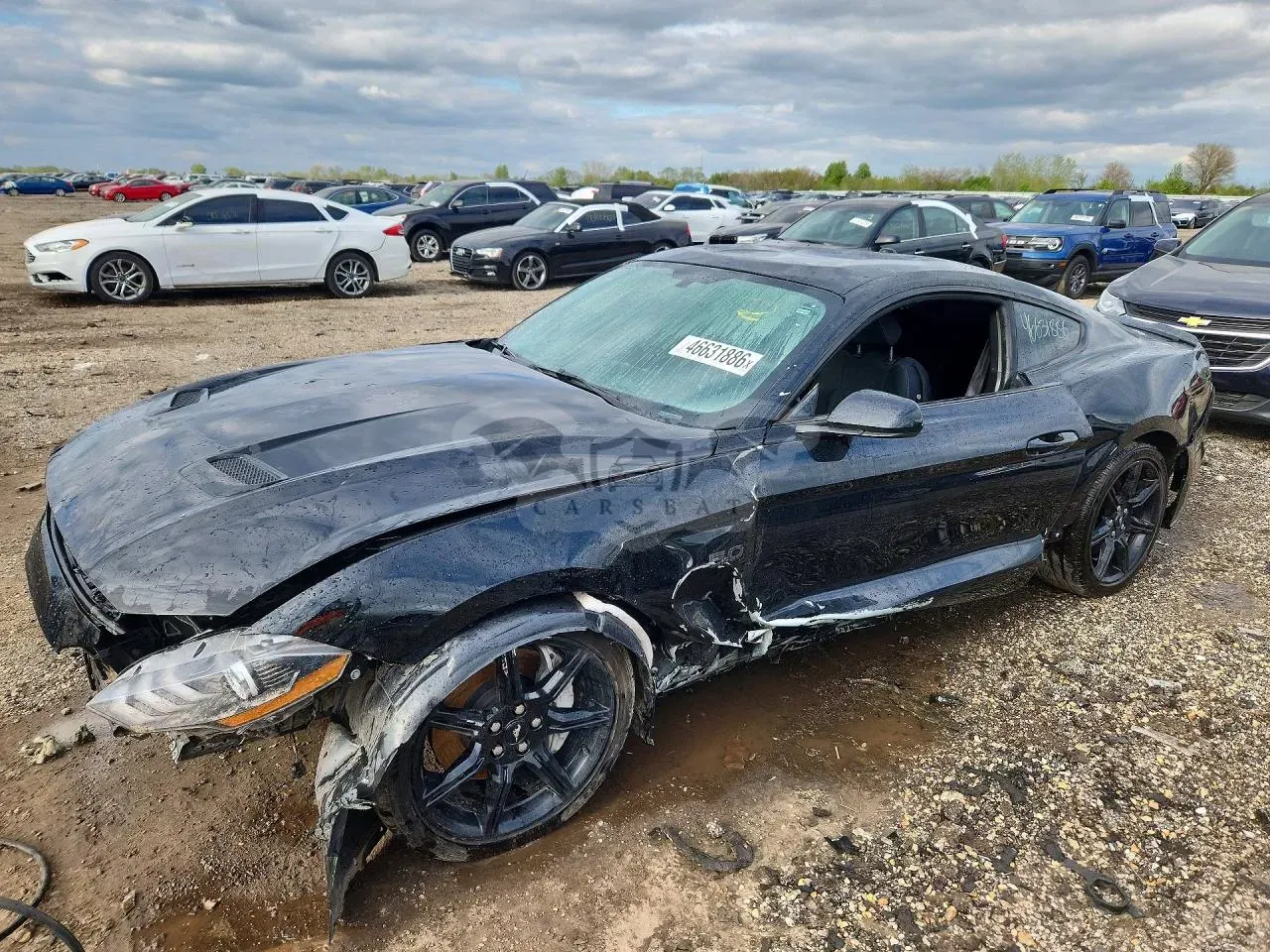 Ford Mustang 5.0L 8 2019