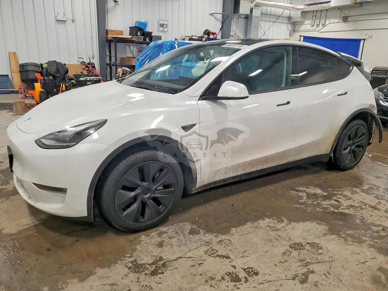 Tesla Model Y 2025