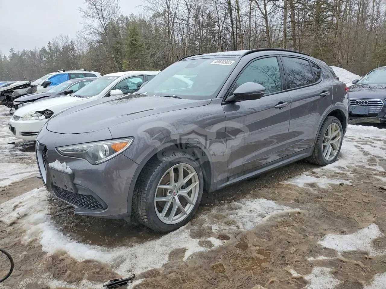 Alfa Romeo Stelvio 2.0L 4 2018