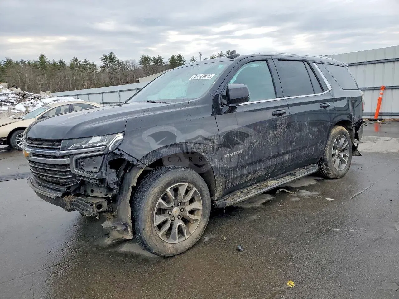 Chevrolet Tahoe 5.3L 8 2023