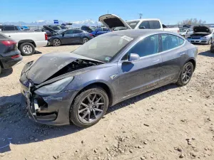 Tesla Model 3 2019