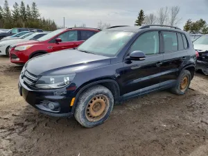 Volkswagen Tiguan 2.0L 4 2016