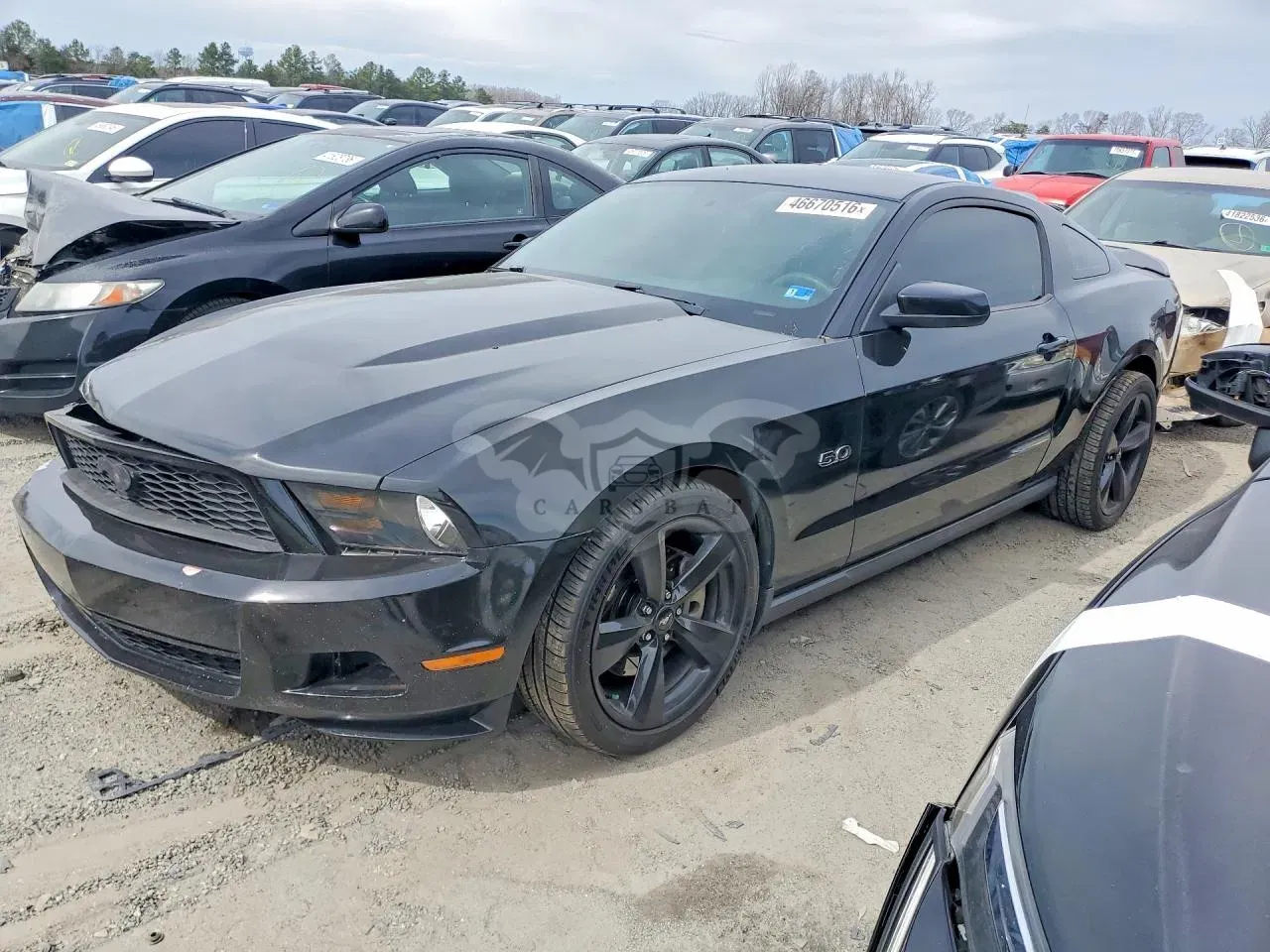 Ford Mustang 5.0L 8 2012