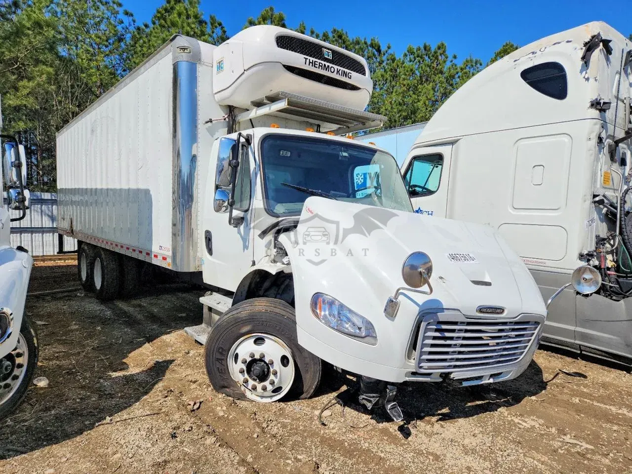 Freightliner Business Class M2 9.0L 6 2024