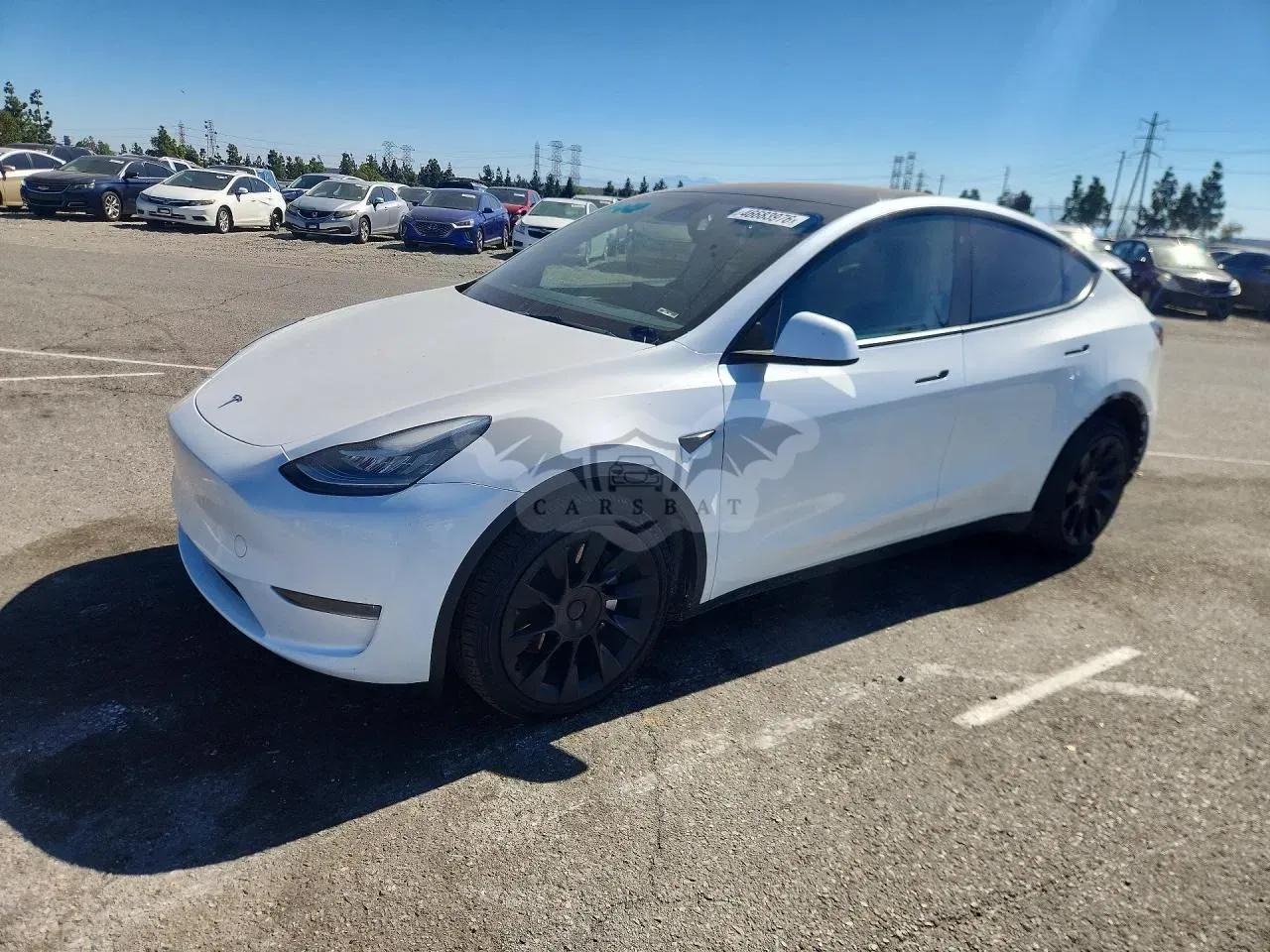 Tesla Model Y 2023