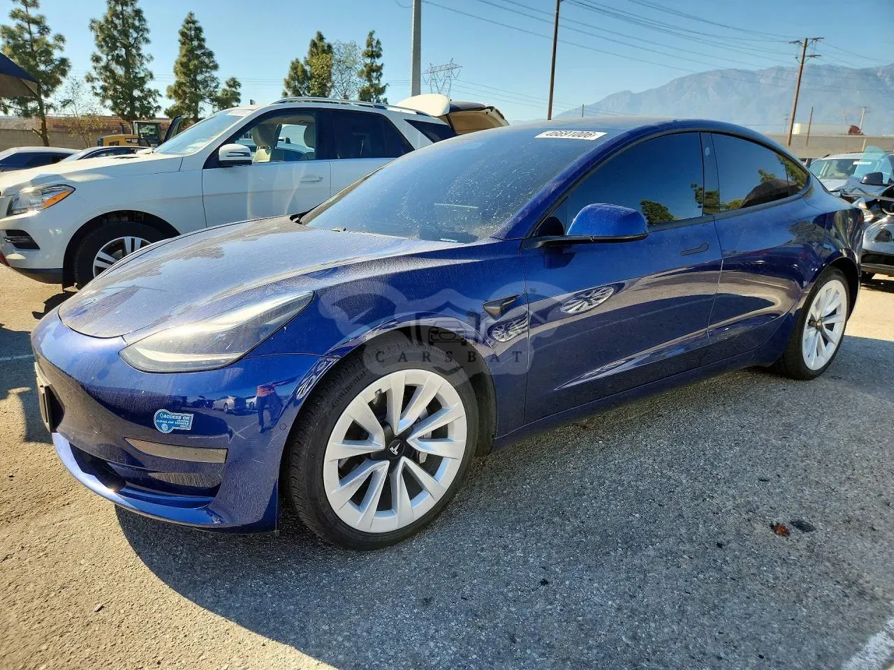 Tesla Model 3 2021
