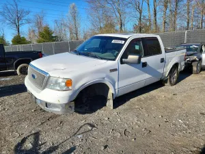 Ford F-150 5.4L 8 2004