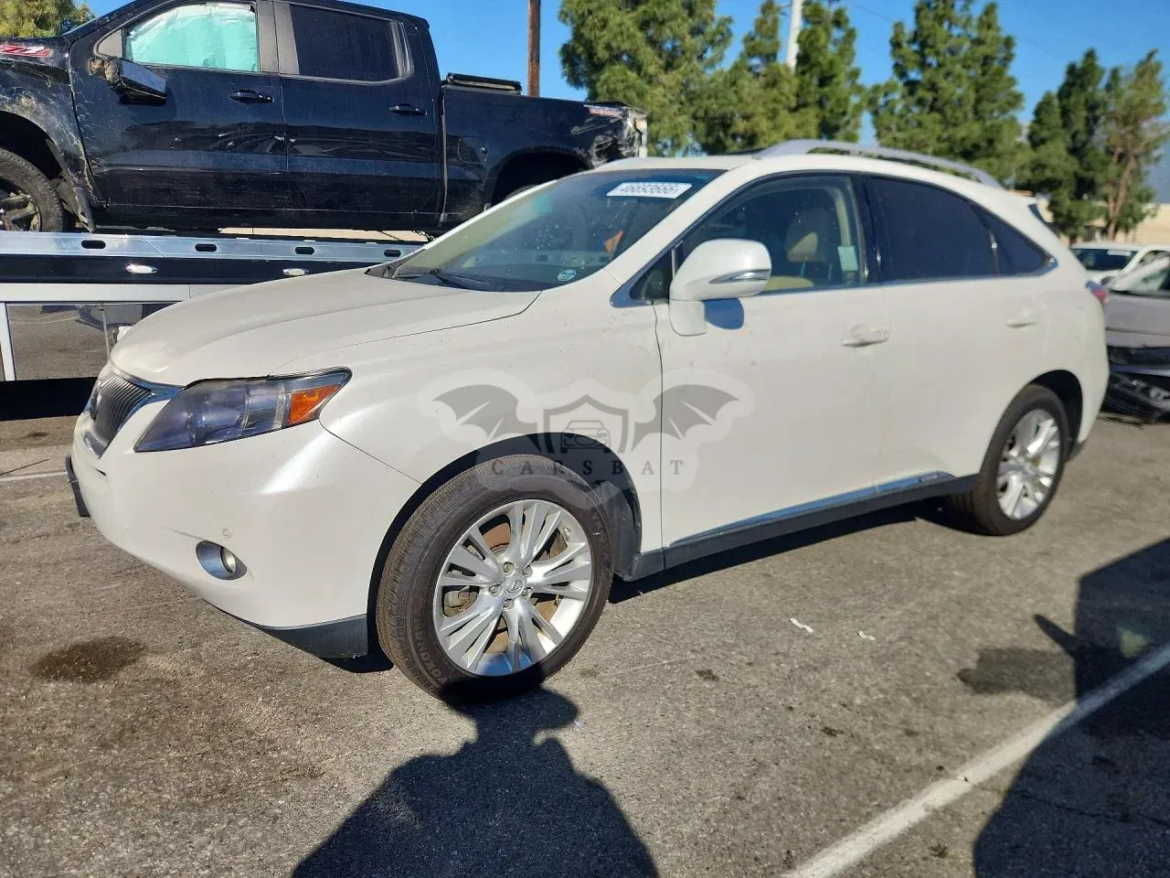 Lexus RX 2010