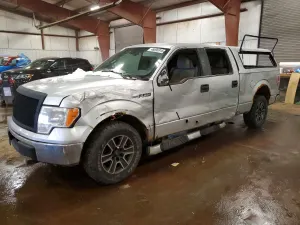 Ford F-150 4.6L 8 2010