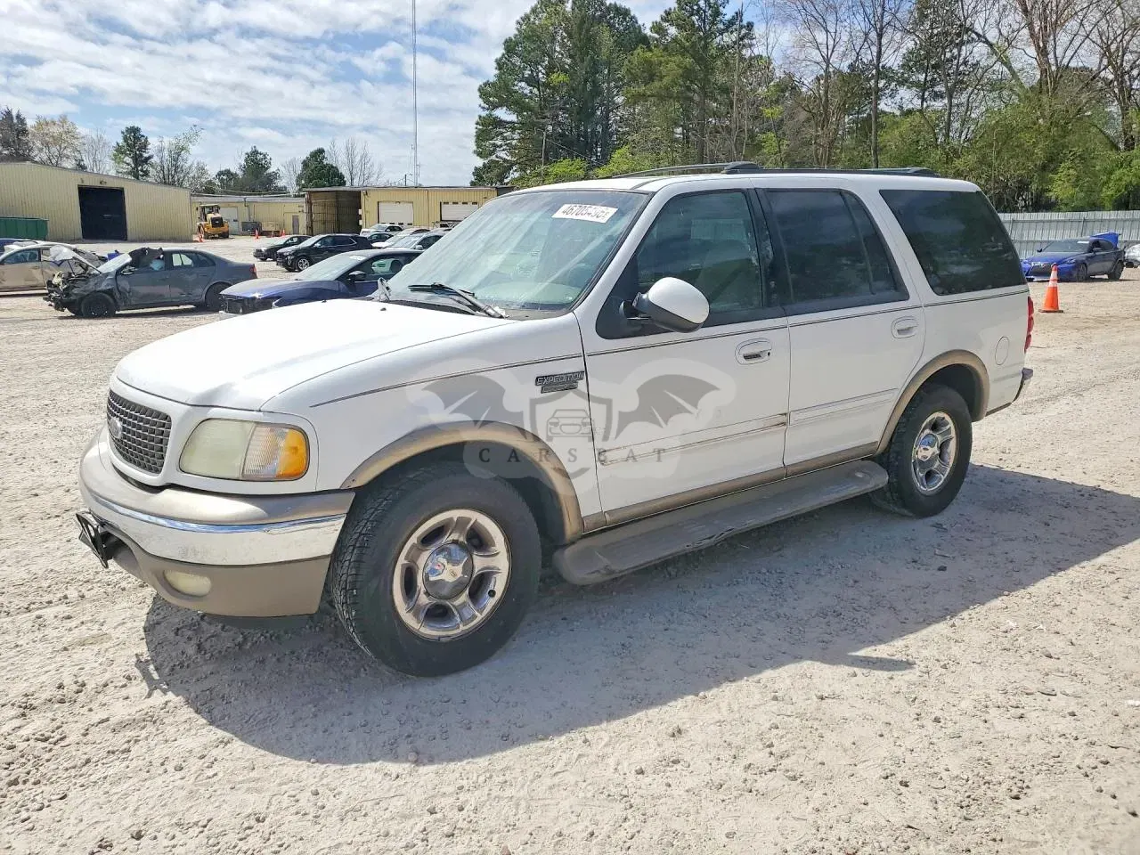 Ford Expedition 5.4L 8 2002
