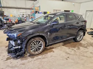 Lexus NX 2.4L 4 2025