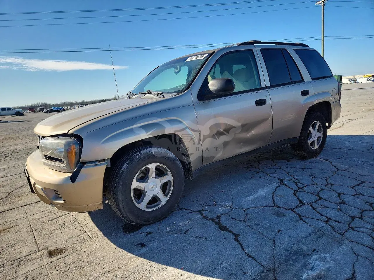 Chevrolet Trailblazer 4.2L 6 2006