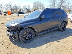 BMW X5 4.4L 8 2019