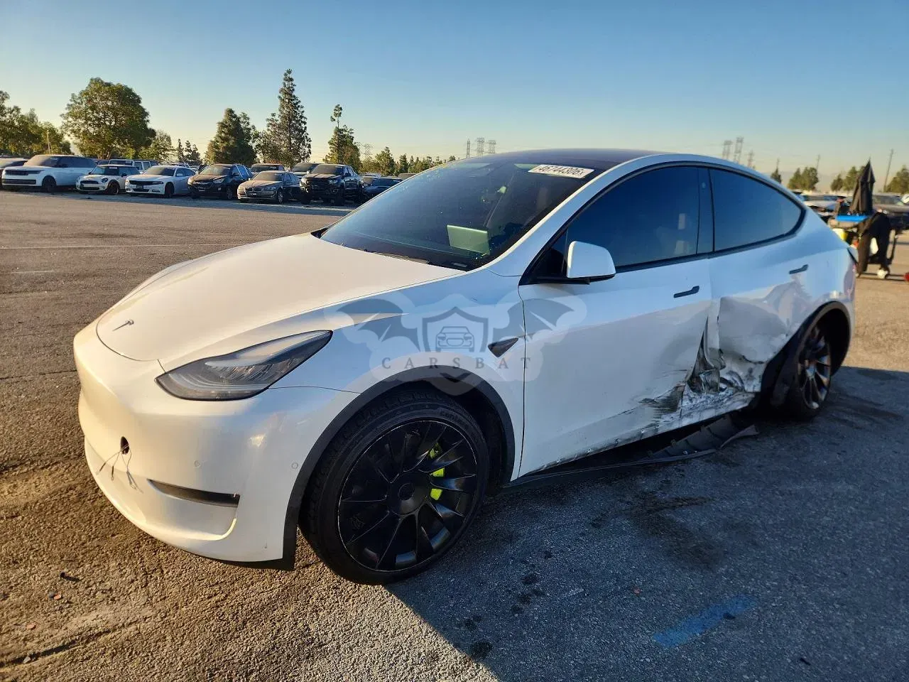 Tesla Model Y 2020