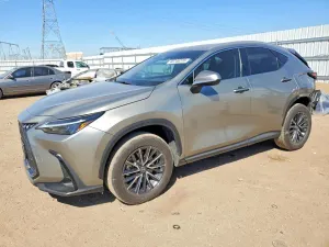 Lexus NX 2.5L 4 2024