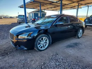 Nissan Maxima 3.5L 6 2011