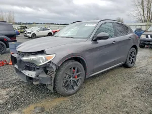 Alfa Romeo Stelvio 2.0L 4 2020