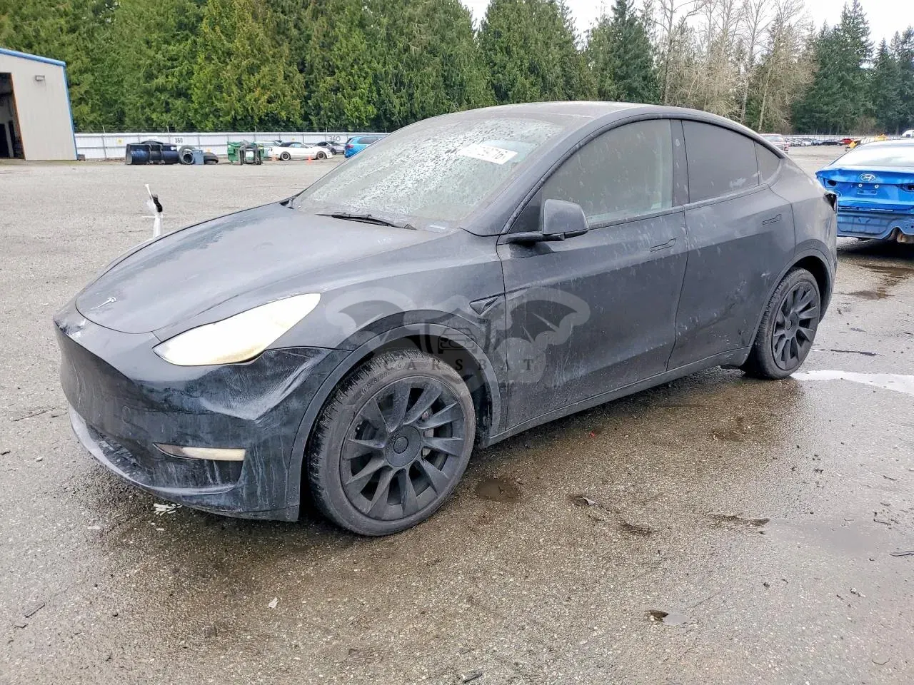 Tesla Model Y 2023