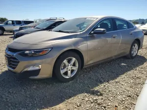 Chevrolet Malibu 1.5L 4 2024