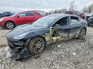 Tesla Model 3 2019